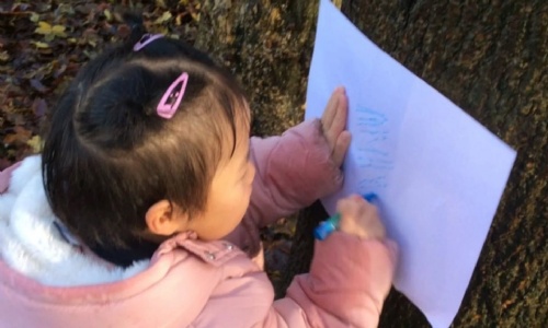 News » Preschool's Woodland Adventure